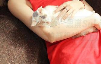 青豆客 – 理想中的婚纱：思淇Sukiii私房合集，随便一拍都想挂墙上。